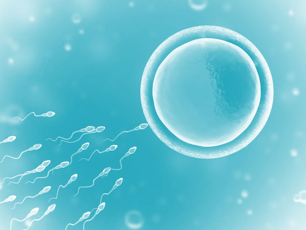 iui iui