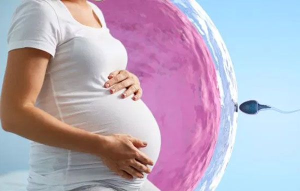 ivf-p ivf-p