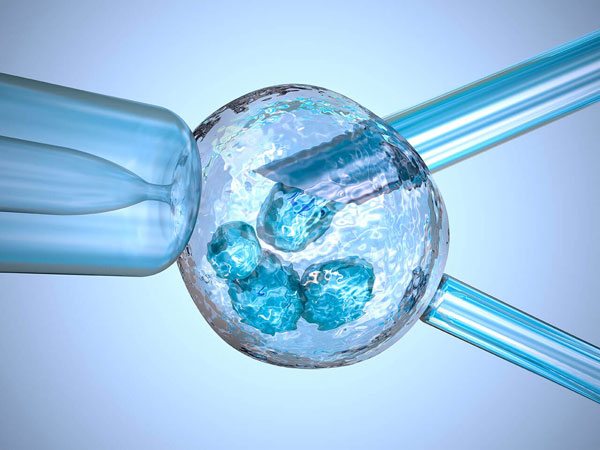 blastocyst-treatment-img1-delhi-ivf blastocyst-treatment-img1-delhi-ivf