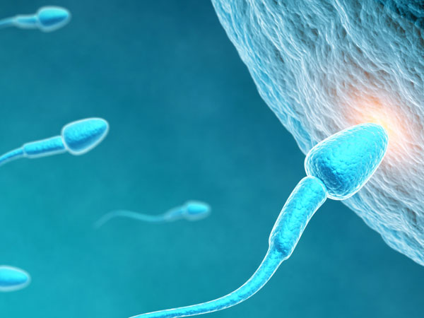 mesa-tesa-img1-delhi-ivf mesa-tesa-img1-delhi-ivf
